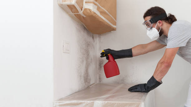 Professional Attic Mold Remediation technician working in Garrett, TX