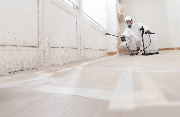 24/7 Emergency Attic Mold Remediation experts in Garrett, TX