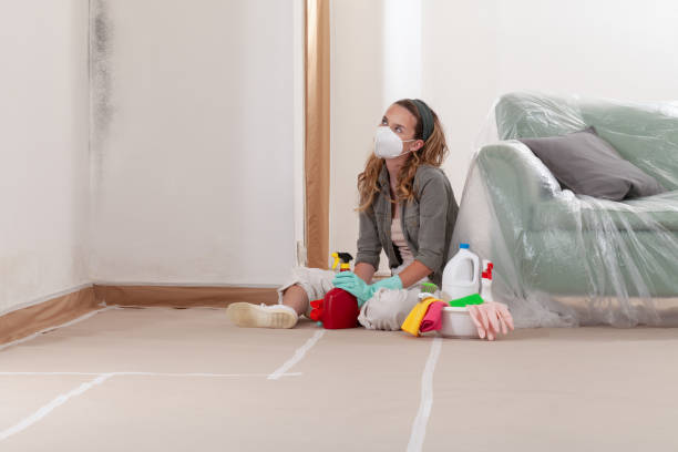 Reliable Attic Mold Remediation contractor in Garrett, TX by Car Mold Remediation